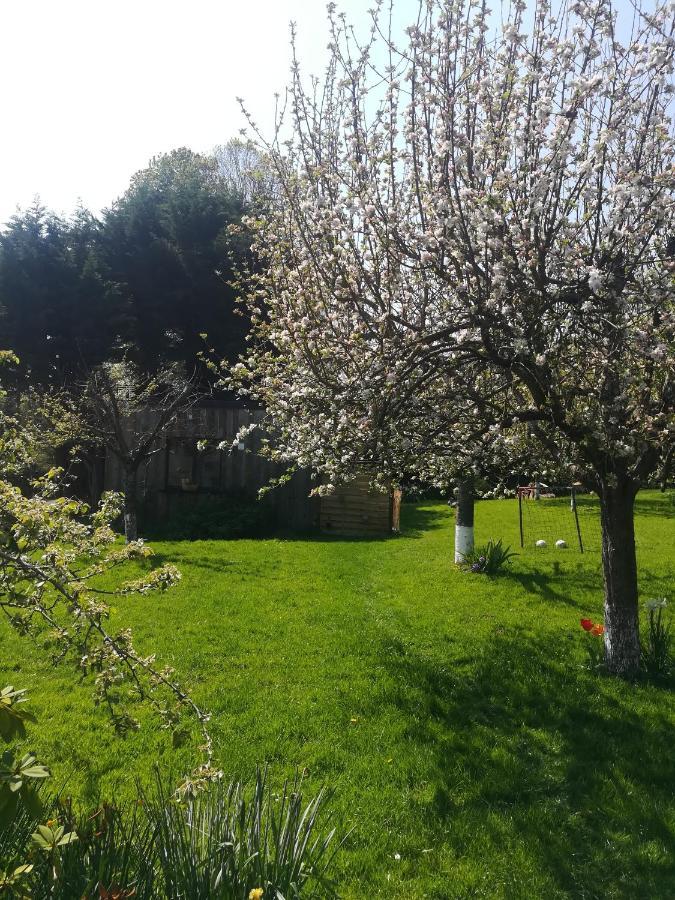 Le Gite Insolite Gonnedouille Gonneville-en-Auge Buitenkant foto